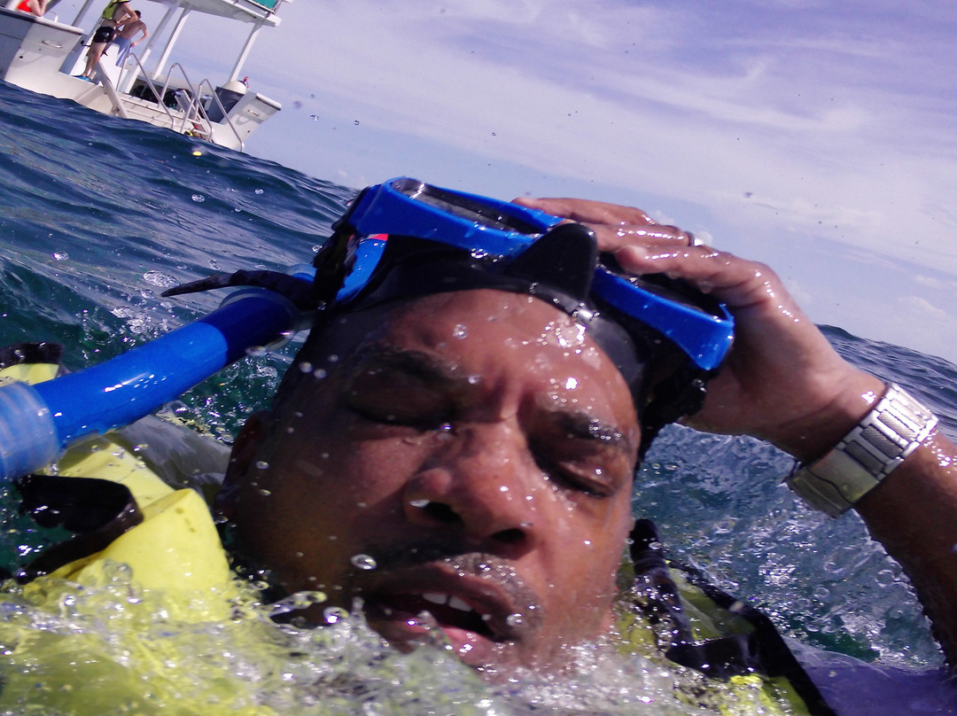 Rainbow Reef-Bimini必去景点