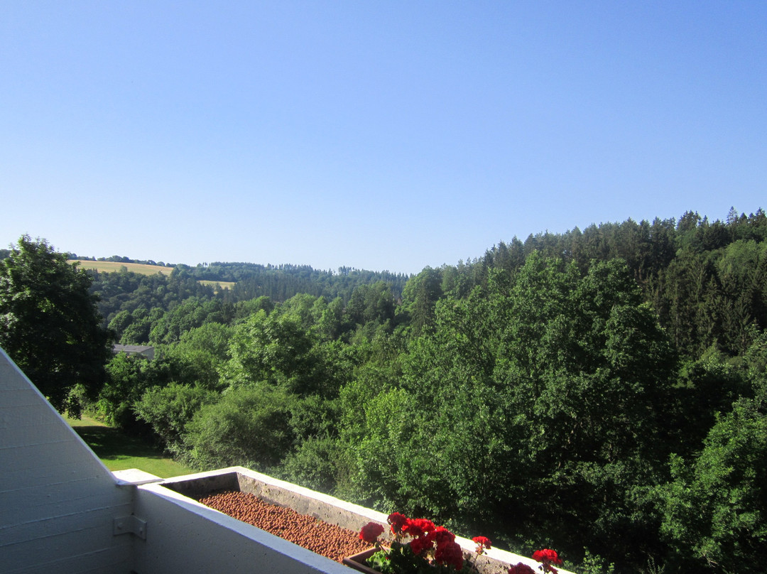 Eifelhotel Daun主图