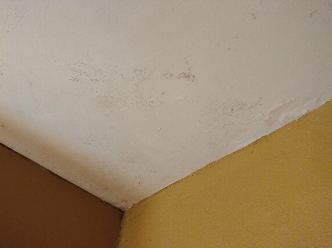 Santa Marina Guesthouse主图