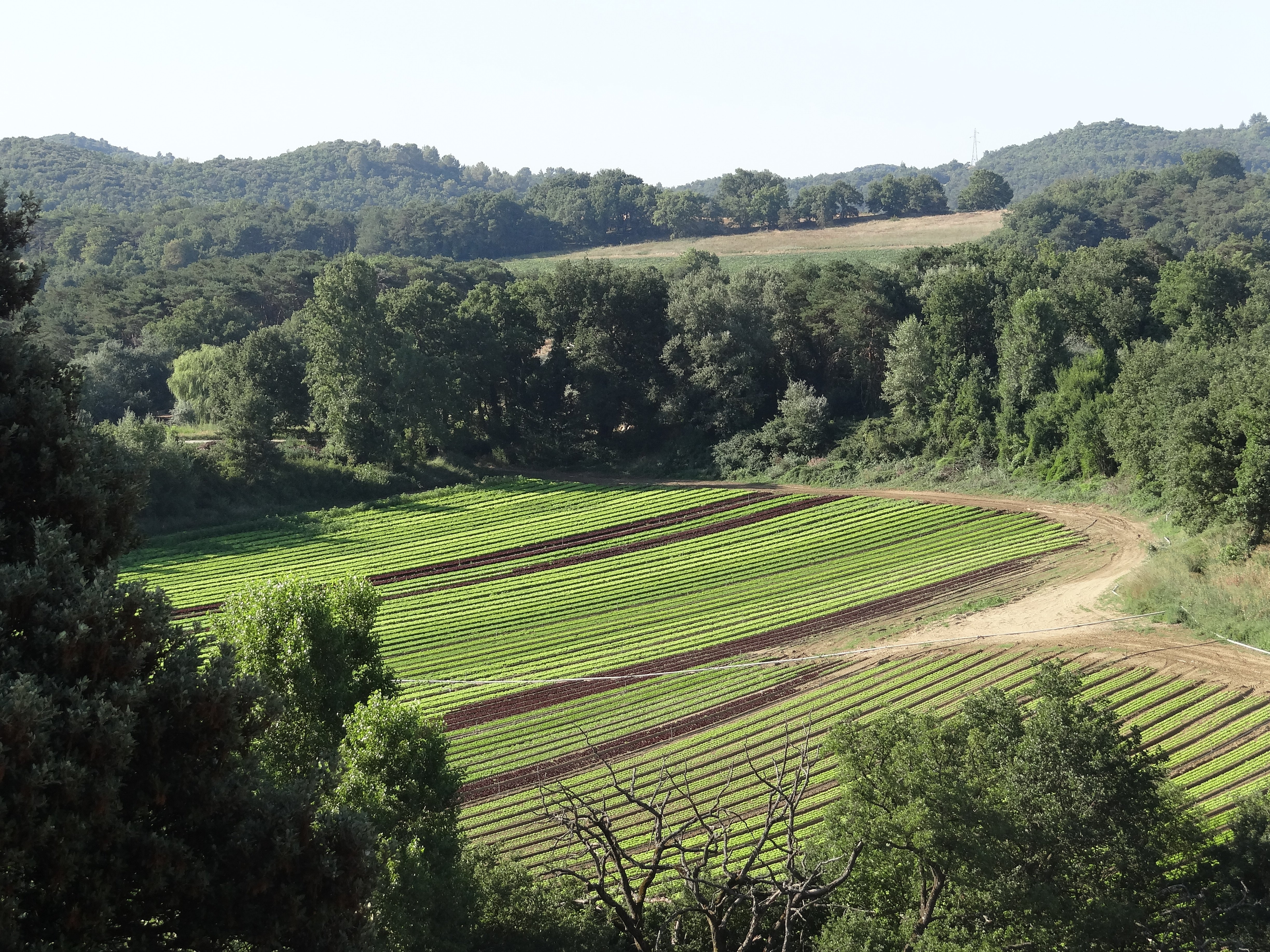 La Campagne Berne-酒店景观