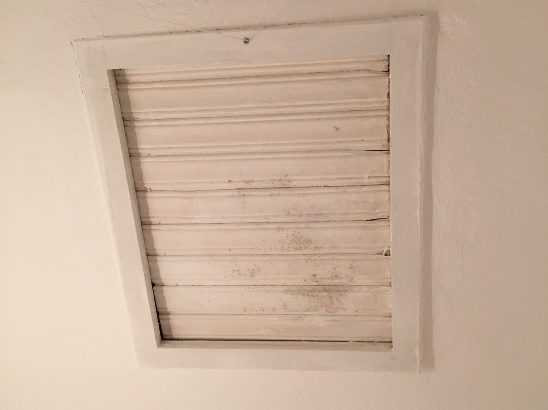 Guest House Plava Laguna Hvar主图