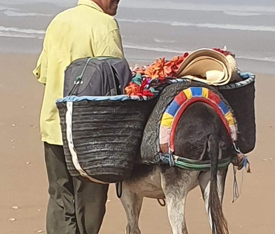 Be-In-Naturetours-索维拉必去景点