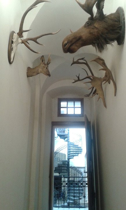 Bandinelli Palace-利沃夫必去景点