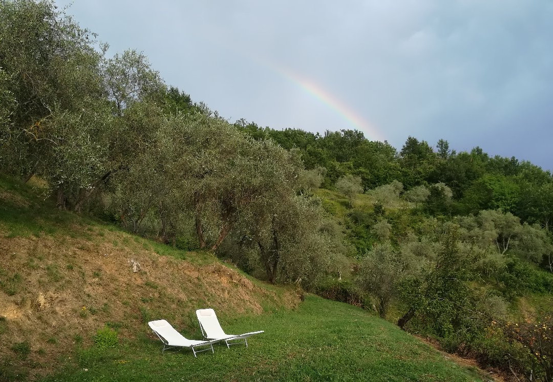 Agriturismo Profumo Di Natura主图