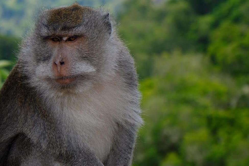 Lombok Trip-龙目岛必去景点