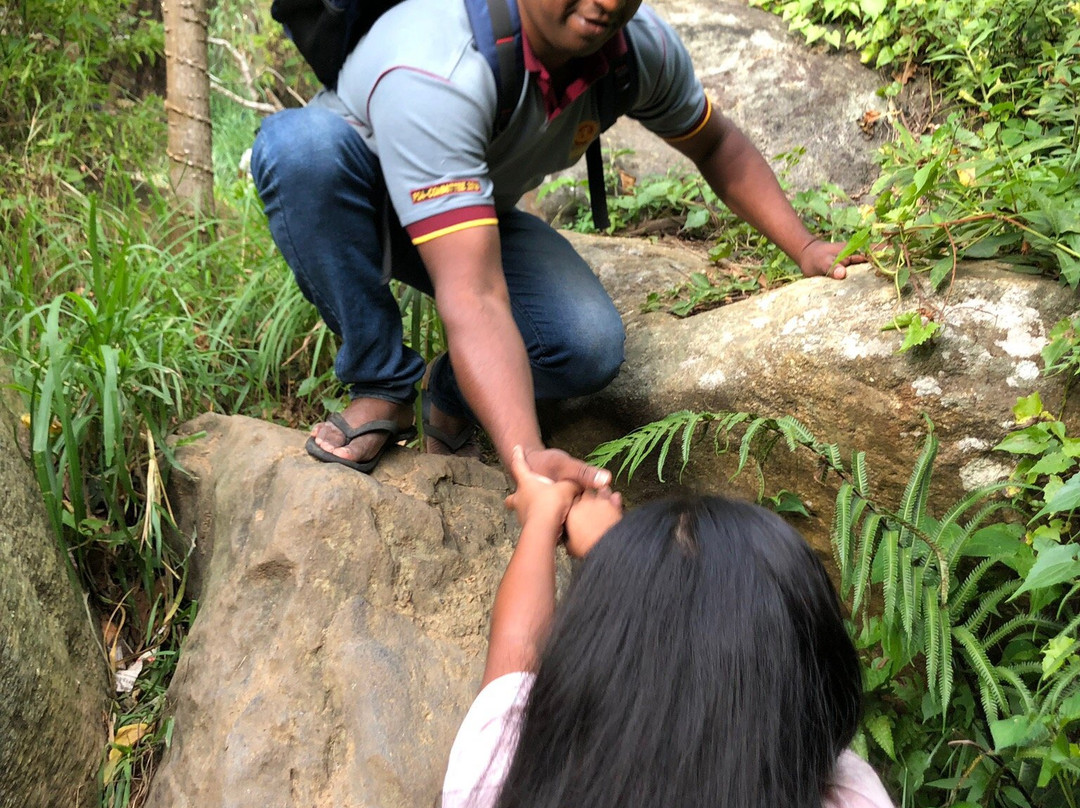 Ella Mountain Palace主图