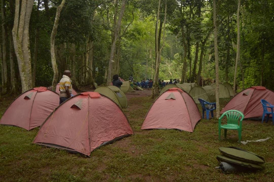Cathie Tour Guide Uganda-恩德培必去景点