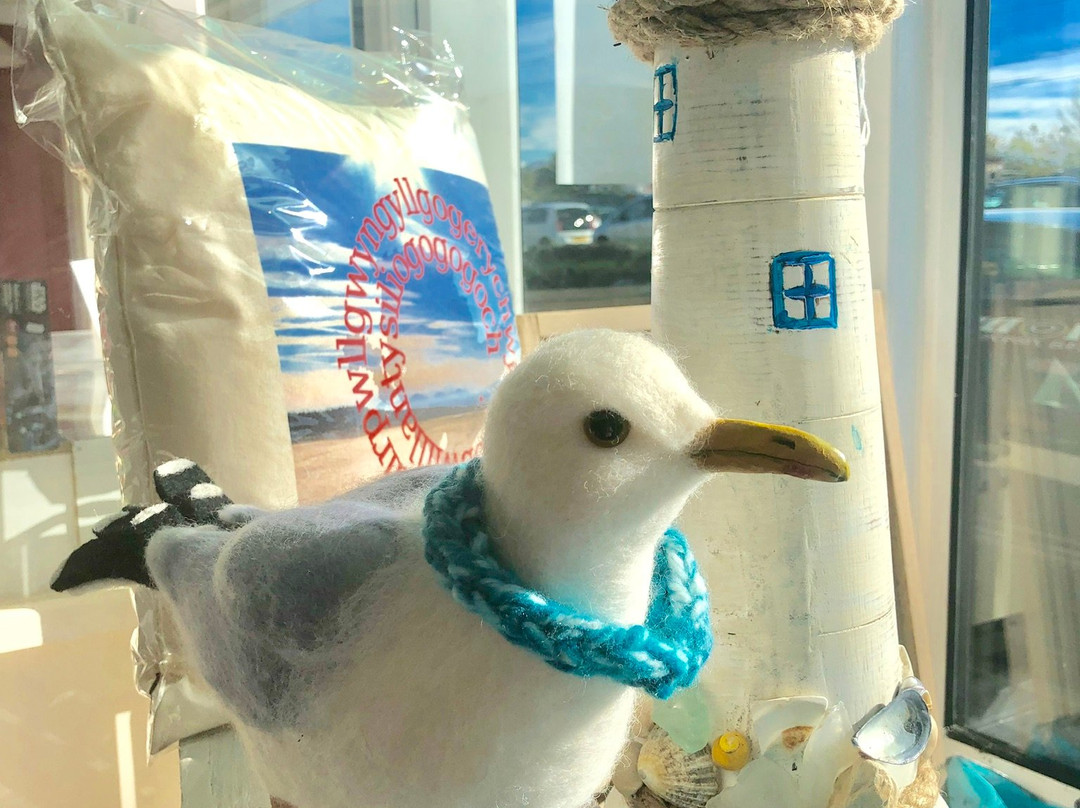 Naughty Gull Coastal Creations景点图片
