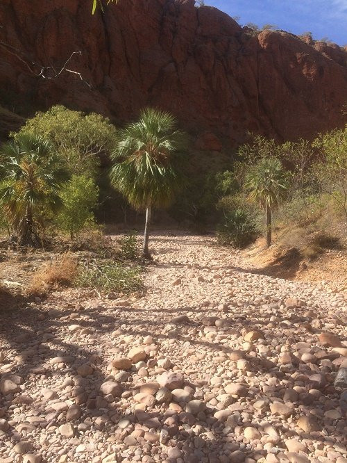 Echidna Chasm景点图片