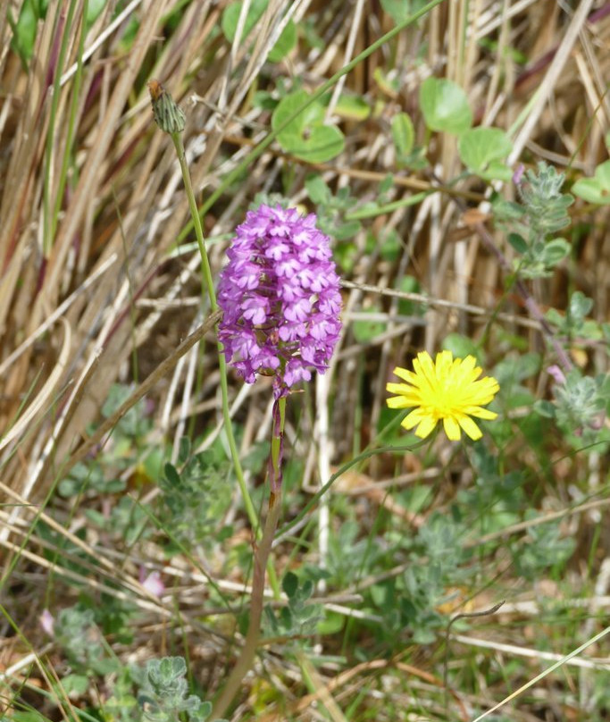 Ayres Nature Trail-Bride必去景点