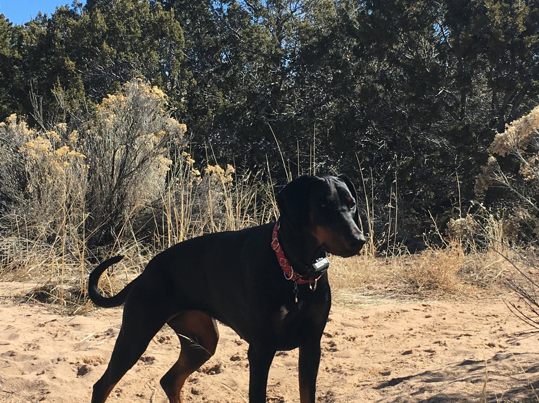 La Tierra Trails-圣菲必去景点