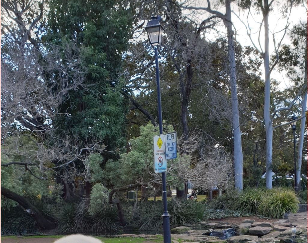 Burwood Park景点图片