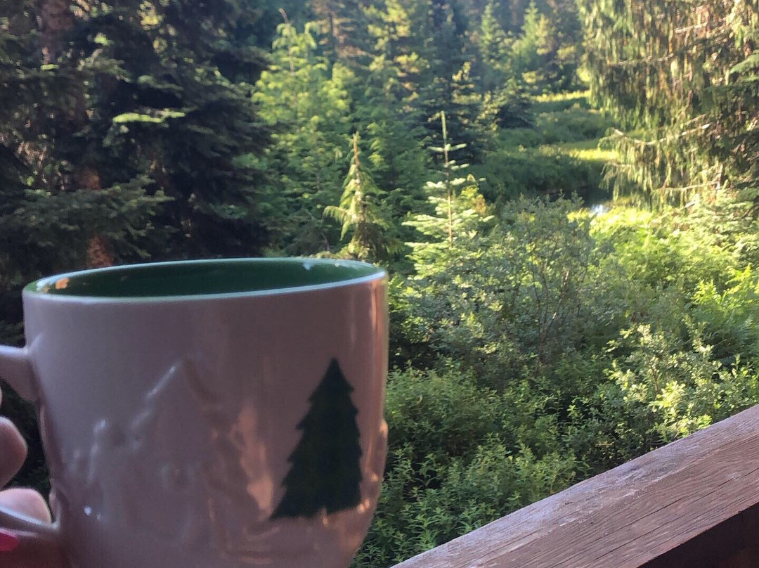 Collins Lake Resort主图