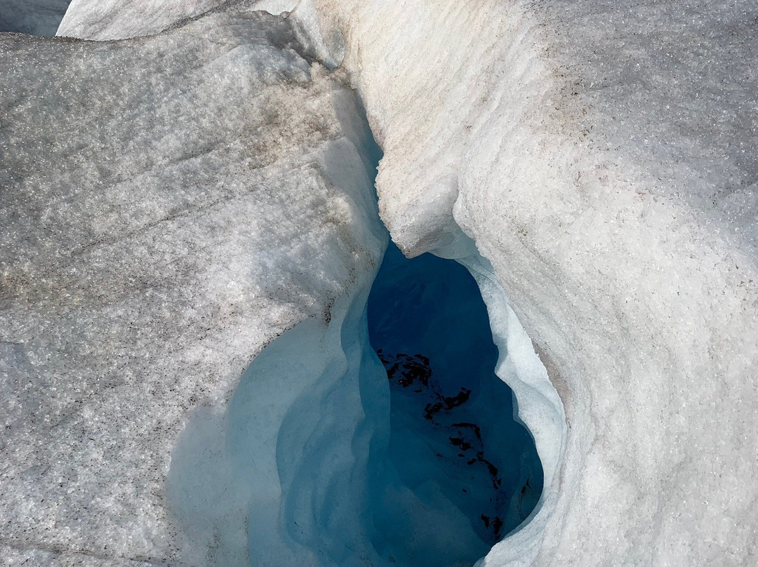 Herbert Glacier-朱诺必去景点