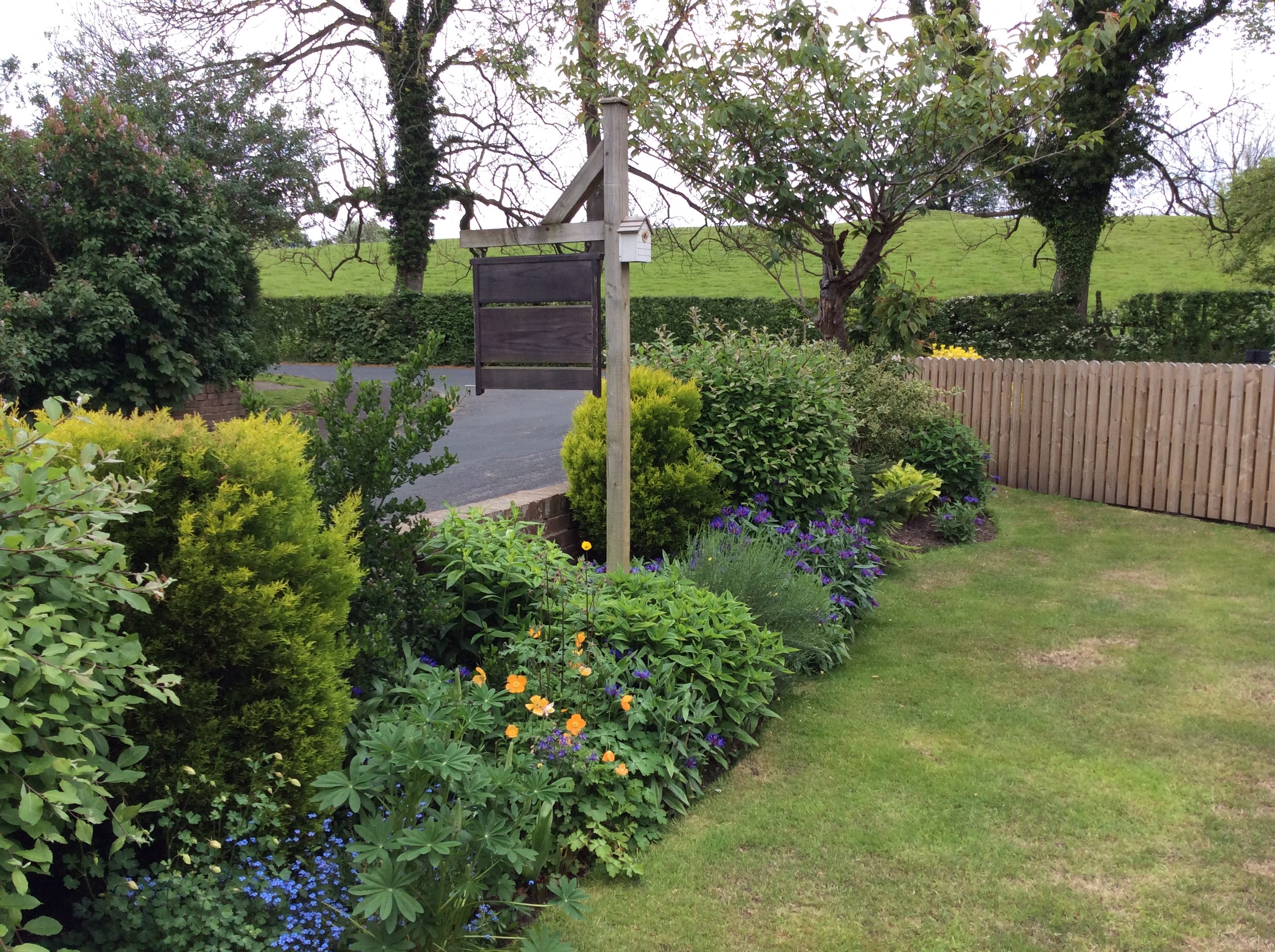 Pinder Hill B & B-官方
