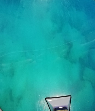 Orca Boat Company-罗德城必去景点