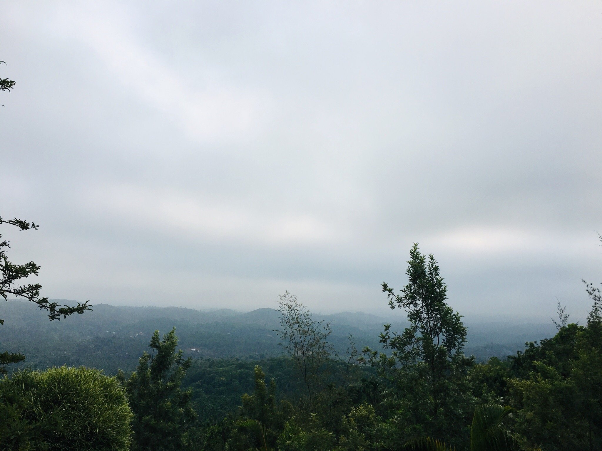 Misty Haven-官方