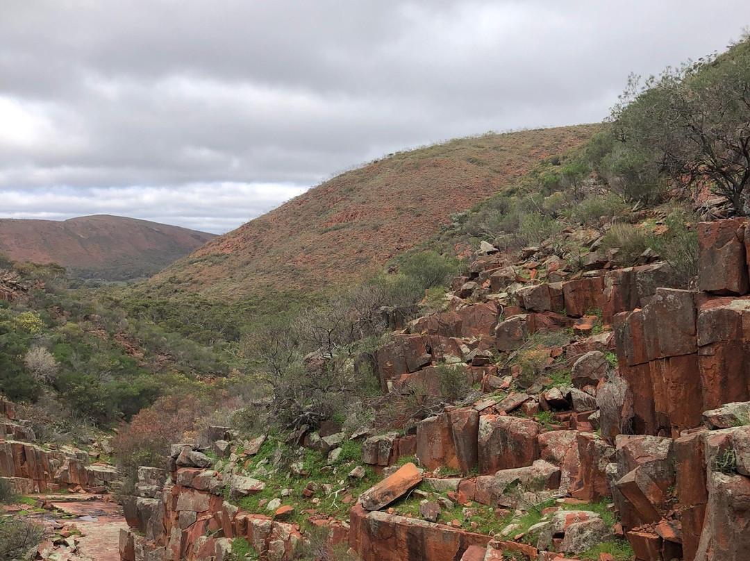 Gawler Ranges National Park-高勒山脉必去景点