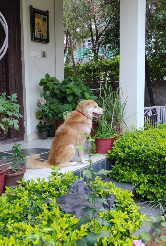 Villa Santushti Homestay主图