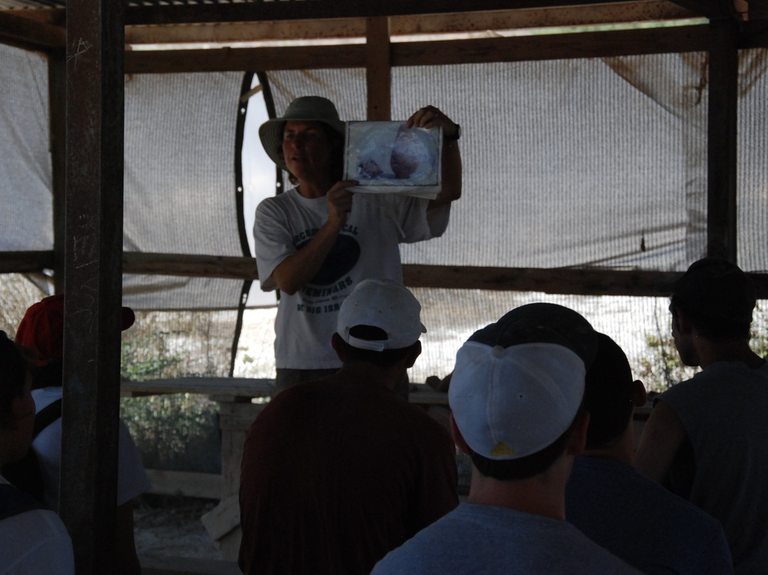 Dig For A Day — Archaeological Seminars Institute-耶路撒冷必去景点