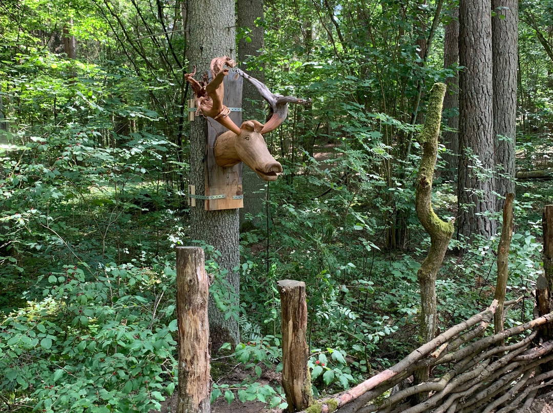 Nature Park in Tervete景点图片