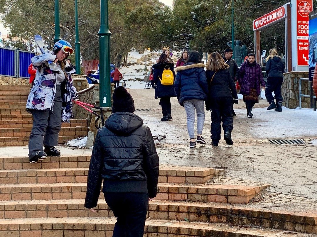 Mt Buller Chalet Hotel & Suites主图