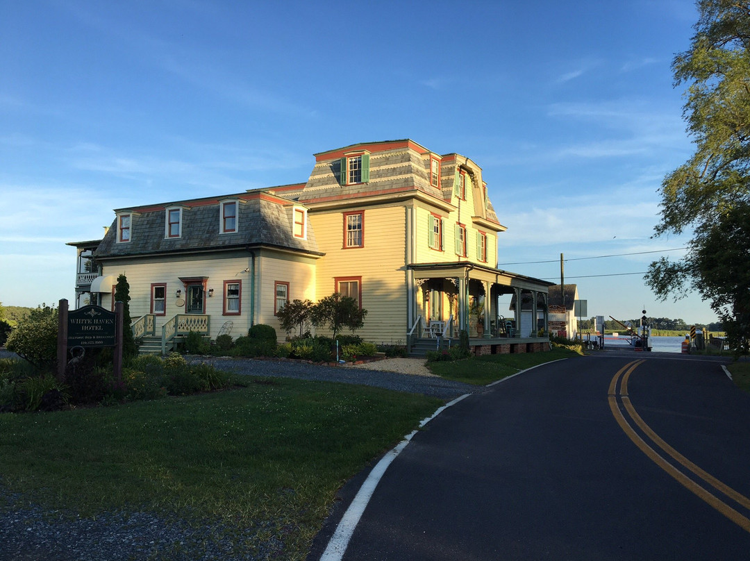 Whitehaven Hotel主图