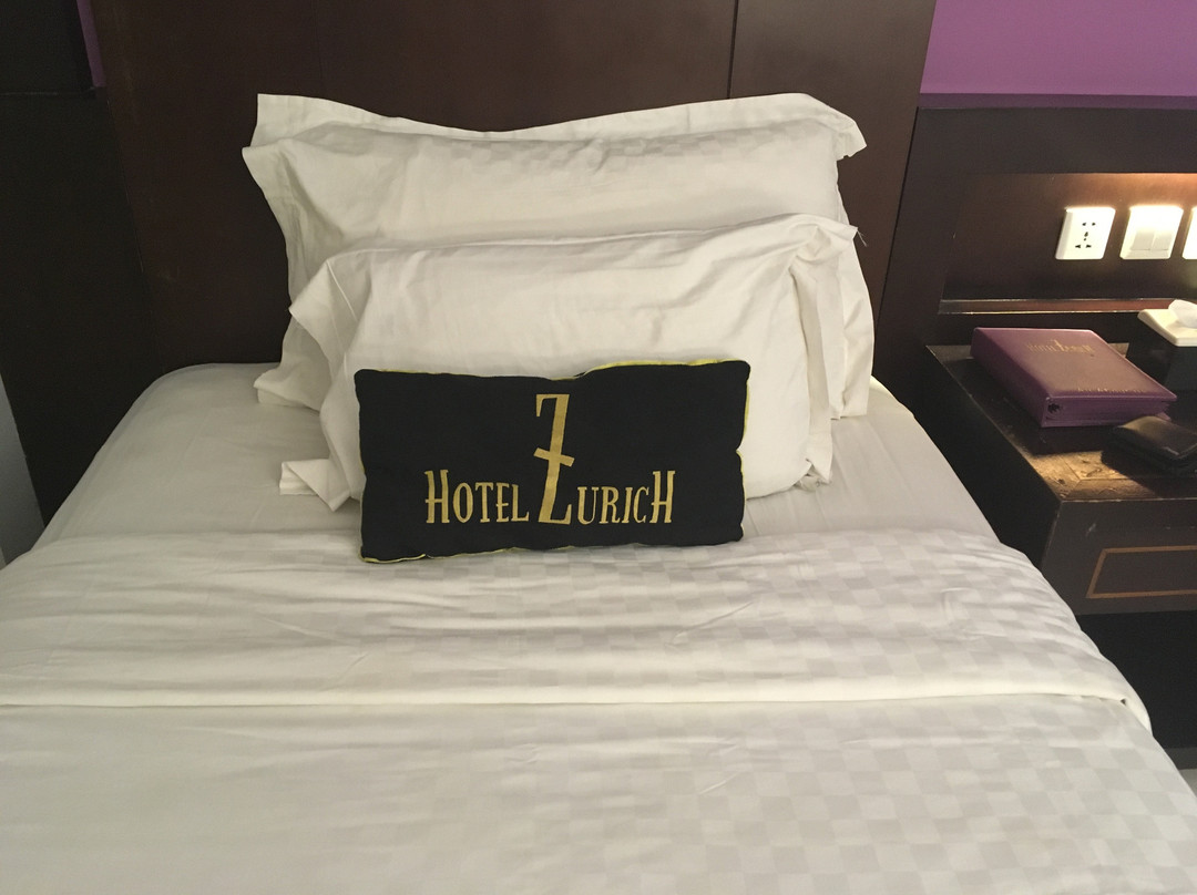 苏黎世酒店主图