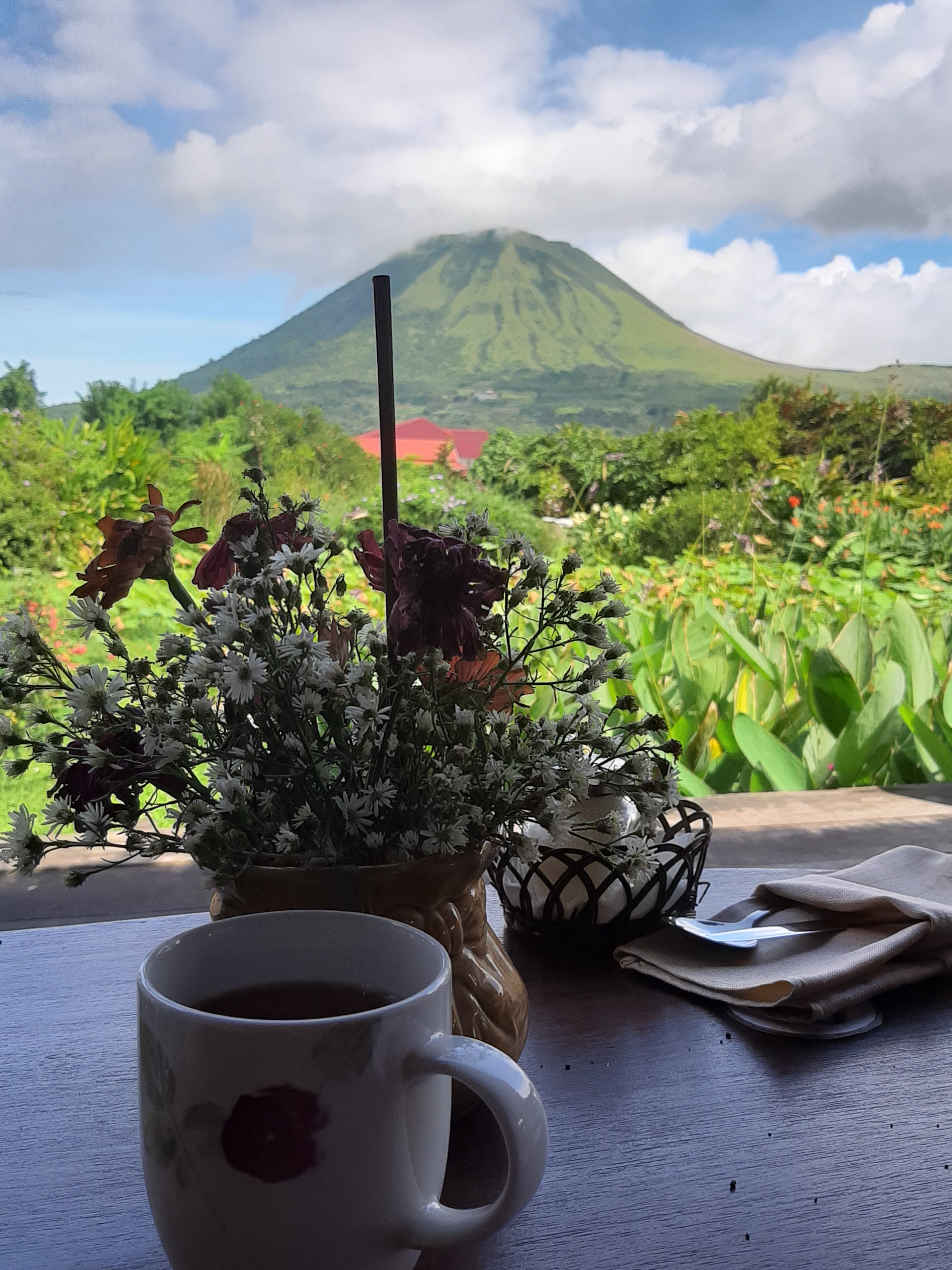 Gardenia Country Inn-浴室