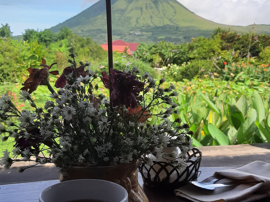 Gardenia Country Inn主图