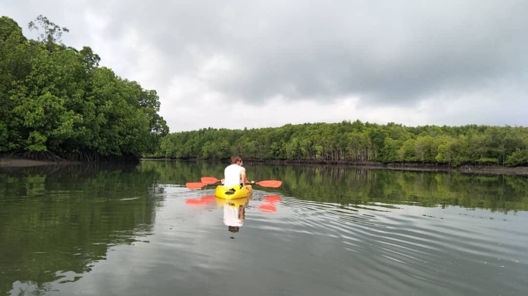 Langkawi Mangrove Tour by Hasfary Travel & Tours景点图片