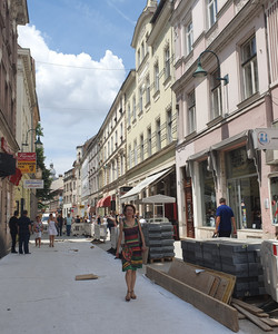 Ferhadija Pedestrian Street景点门票图片