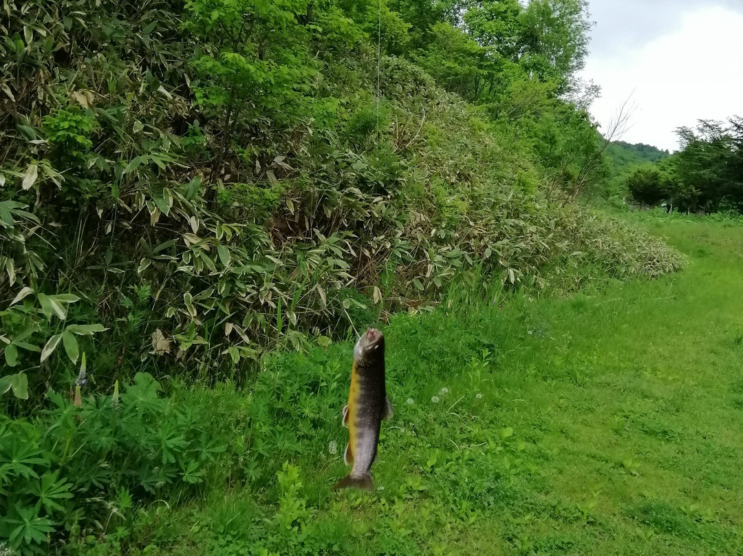 Taisetsu Fishing Pond-上川町必去景点