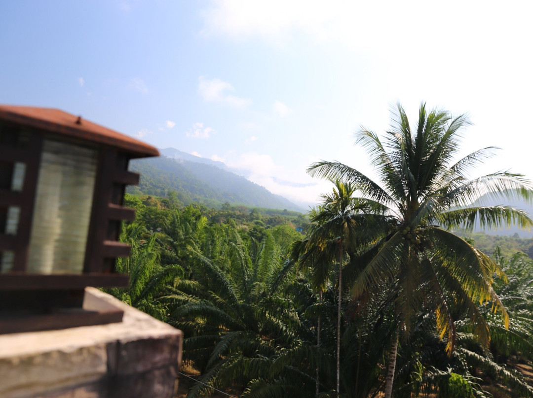Khao Sok Nature Place主图