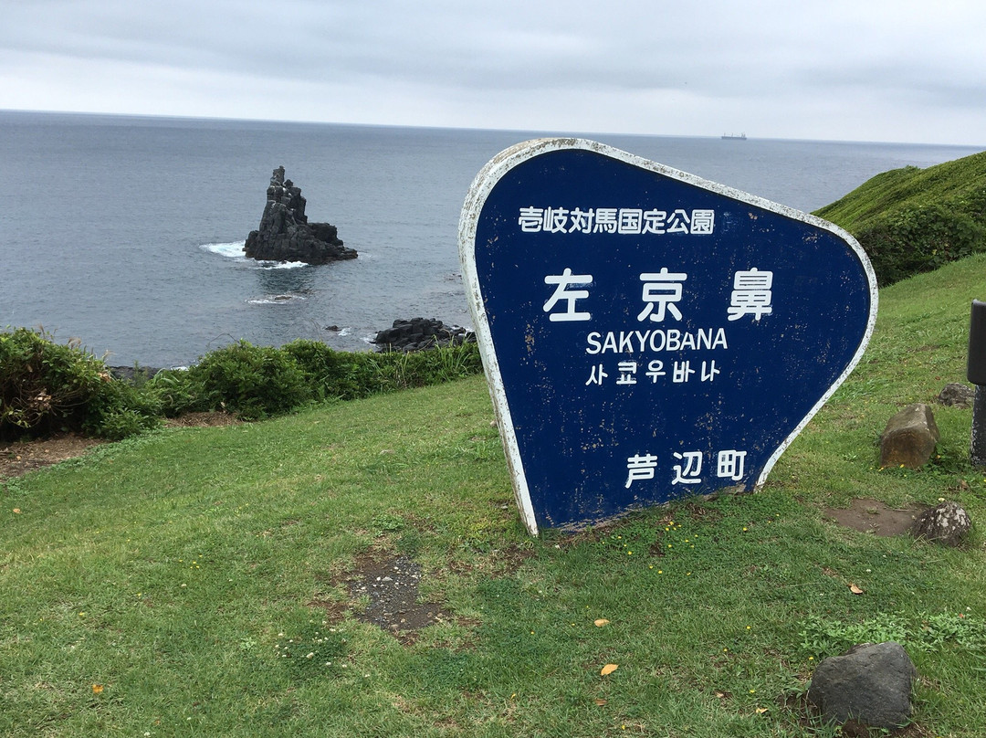Sakyobana景点图片