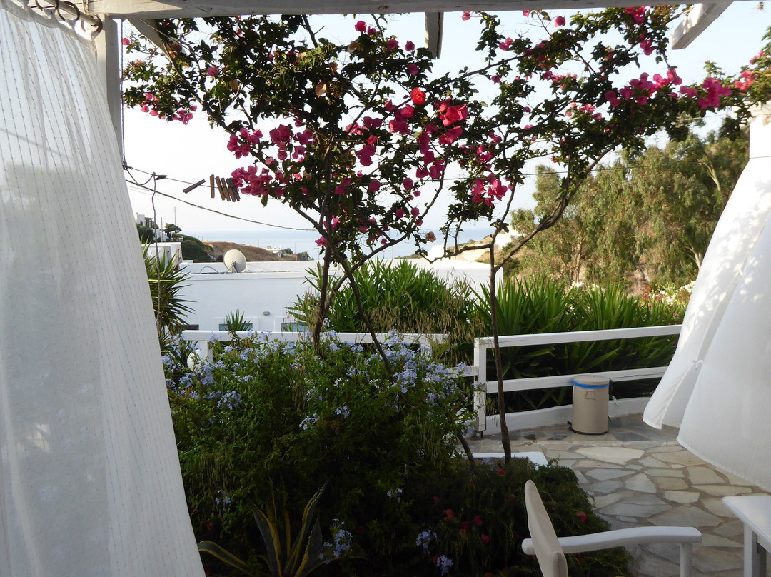 Paleochori Studios主图