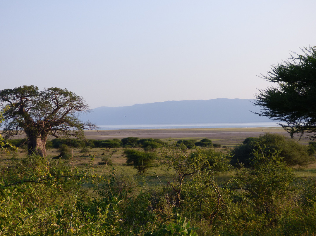 Manyara Lakeview Oasis主图