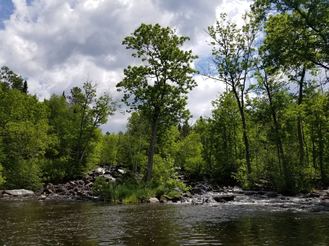 Log Cabin Inn Bed & Breakfast主图