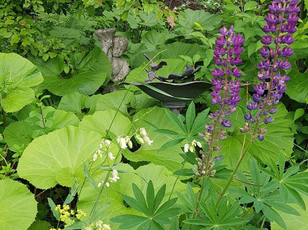 Le Petit Clocher Gîte Touristique B & B主图