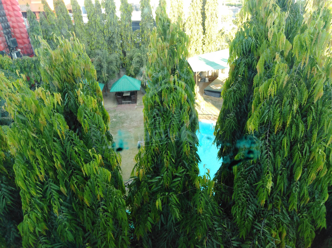 八打雁戴斯酒店