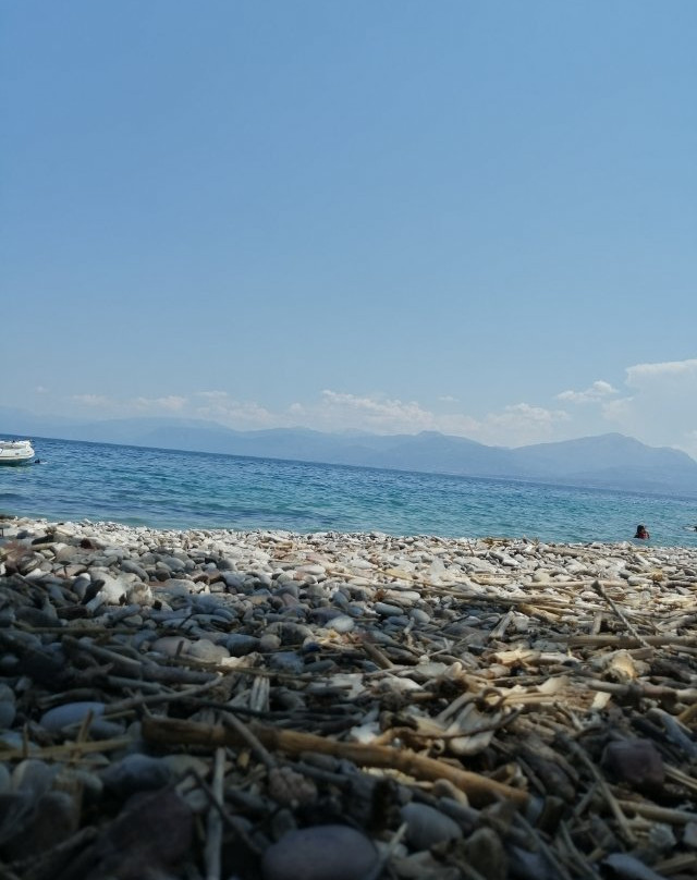 Aspra Halkida Beach-Trizonia必去景点