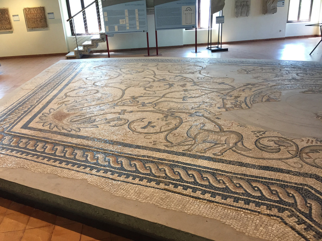 Museo Nazionale Paleocristiano景点图片