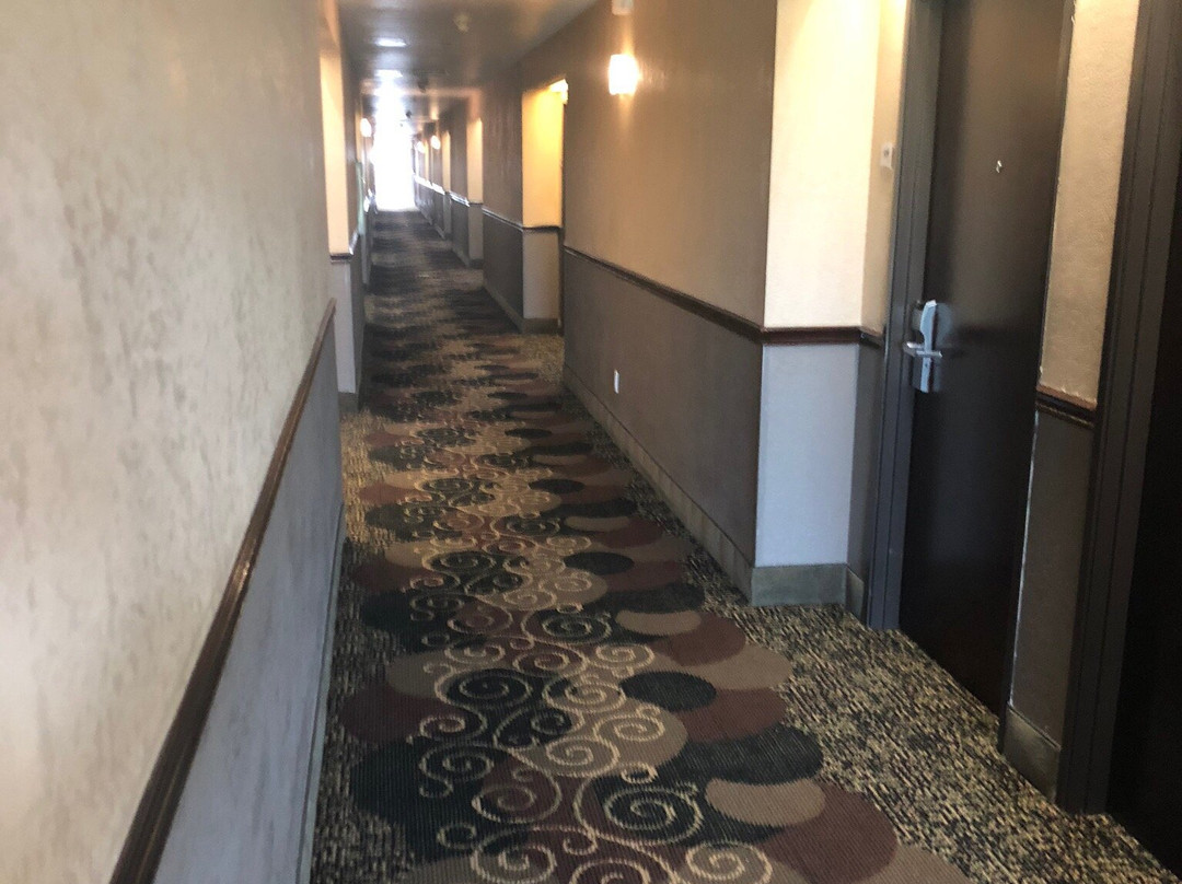 Quality Inn & Suites Terrell主图