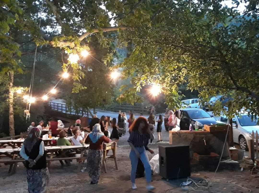 Yasyer Mahallesi旅游攻略图片