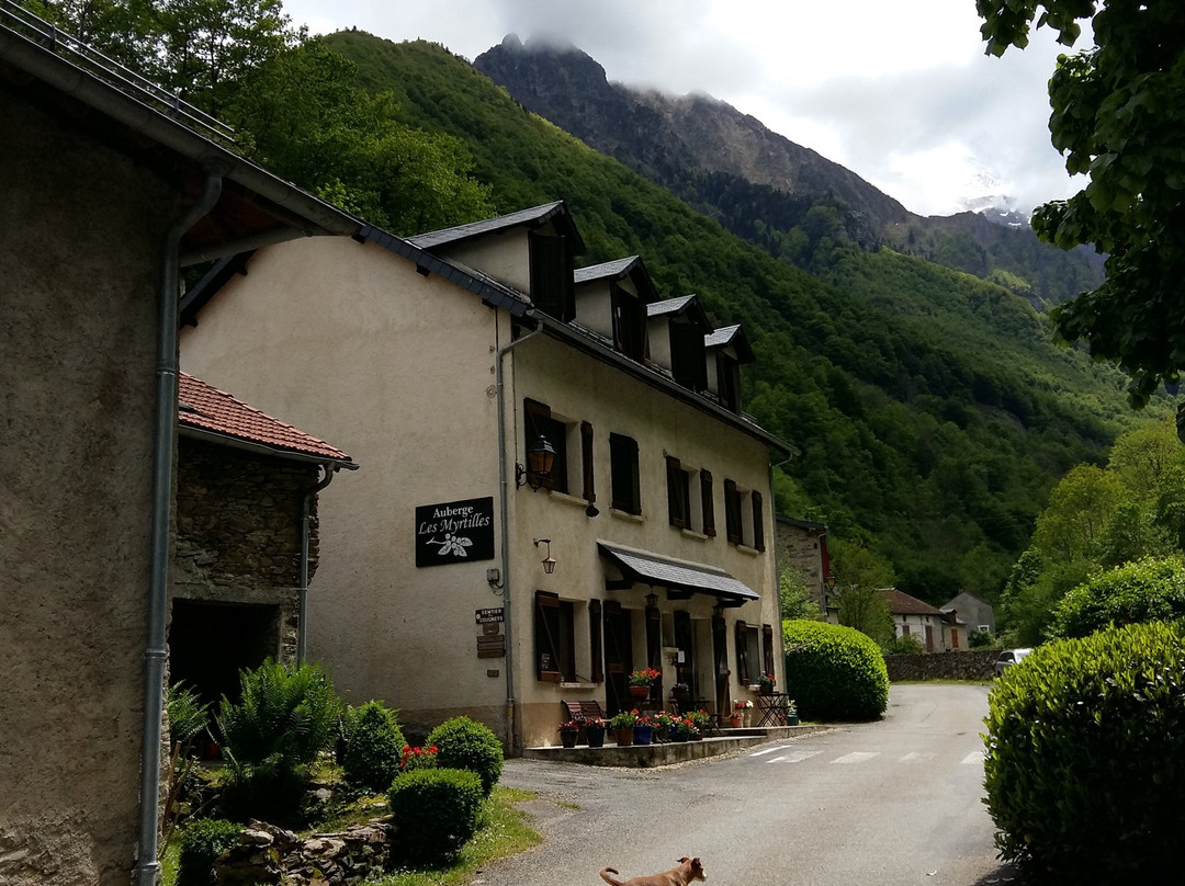Auberge les Myrtilles主图