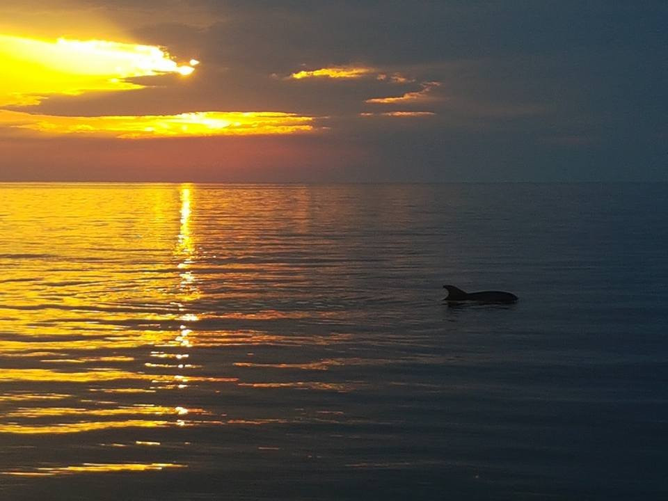 Excursion Antonio-普拉必去景点