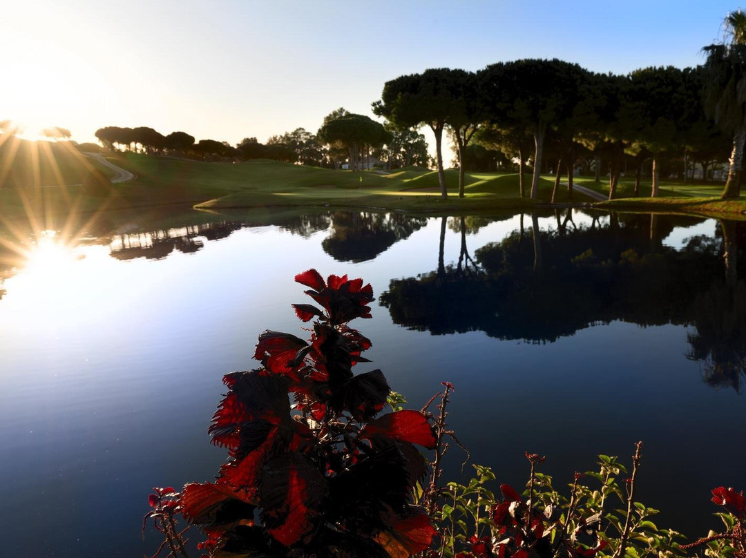 Cabopino Golf Marbella景点图片