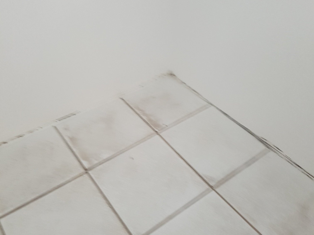 Takapuna International Motor Lodge主图