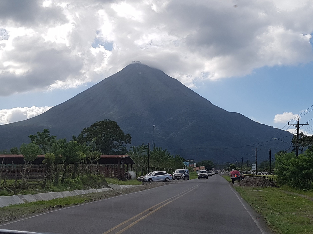 Witropa Travel Costa Rica - Day Tours景点图片