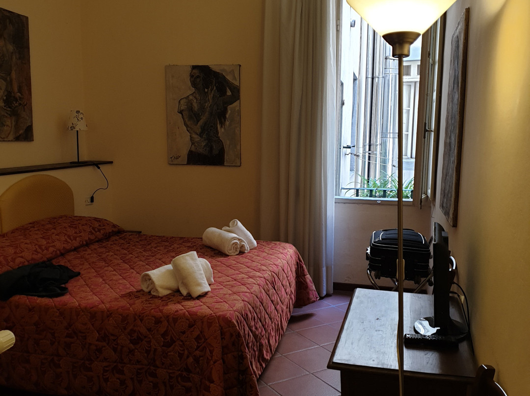 Ferdinando II dei Medici主图